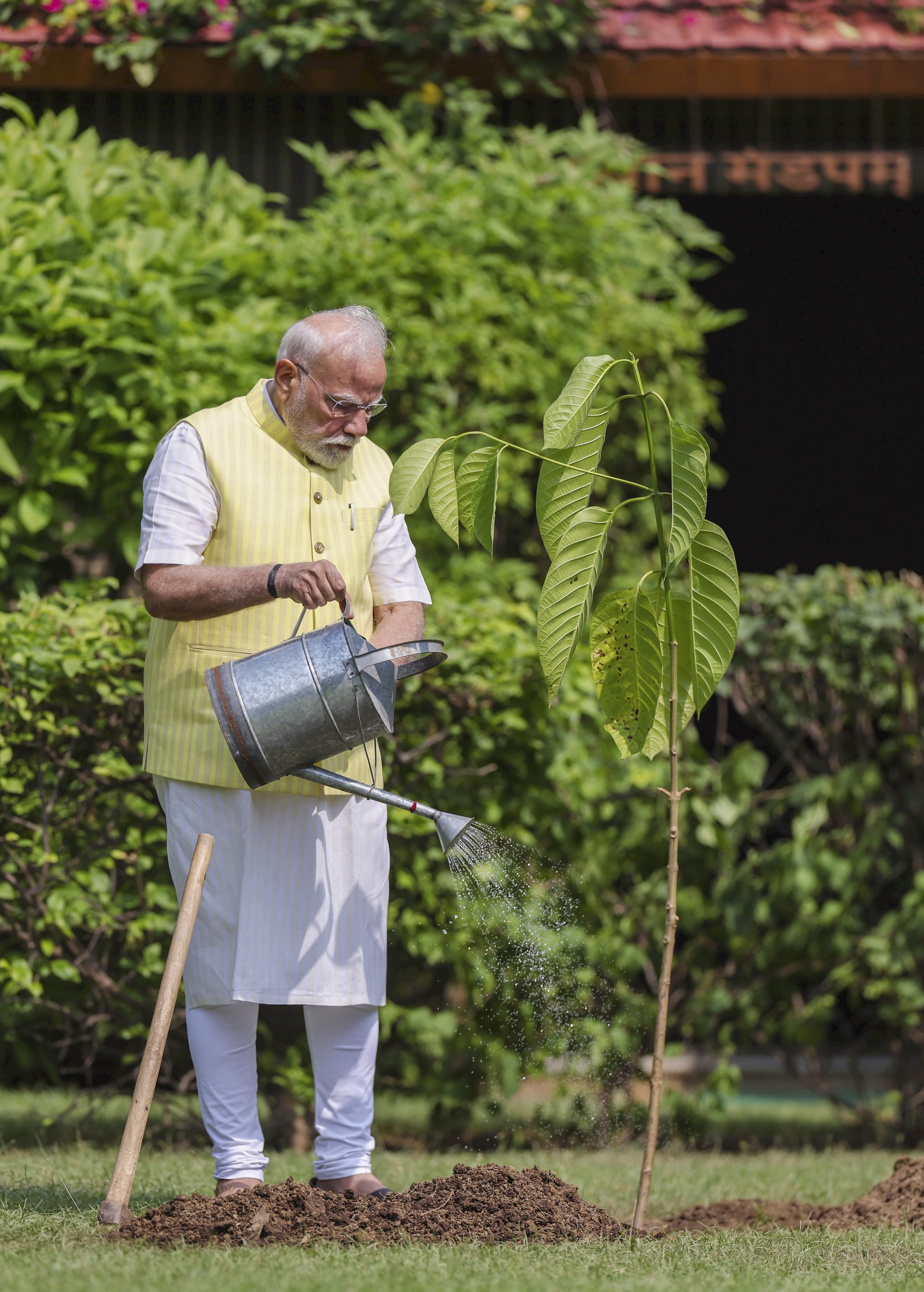 PM Modi plants sapling gifted by British King on his 75th birthday - PTI